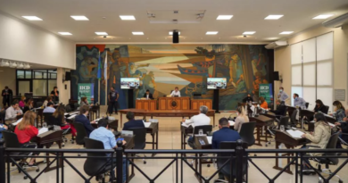 En la Primera sesión del año el Concejo Deliberante de Tigre dio tratamiento a más de cincuenta expedientes
