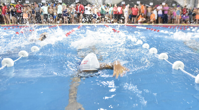El Municipio realizó un encuentro de natación para más de 340 chicos y chicas de Tigre