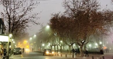 “Alerta violeta” por niebla: San Fernando recomienda evitar la circulación en calles y la navegación