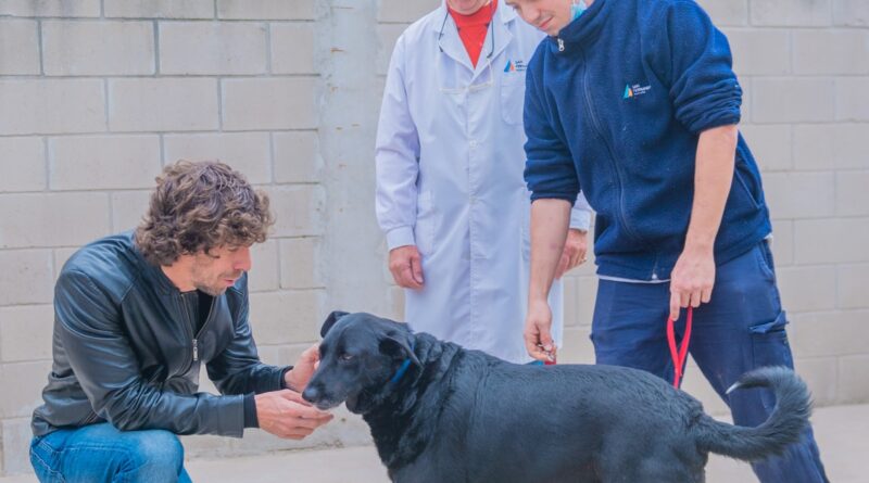 Juan Andreotti promovió la adopción de perros con tenencia responsable