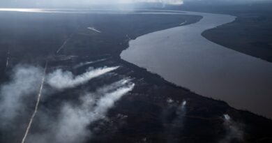 Restaurar los humedales del río Paraná tras los incendios llevará más de 300 años, según científicos