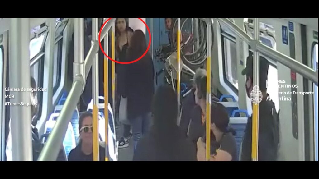 Gracias a la denuncia a través de la aplicación Trenes Seguros, dos mujeres que robaban celulares en el tren fueron aprehendidas