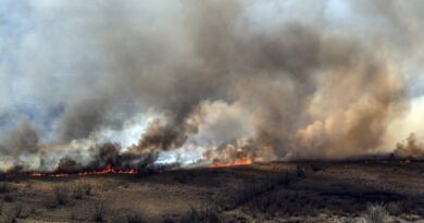 Proponen cambiar el Código Penal para penar con más severidad los incendios en el Delta