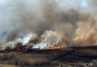 Proponen cambiar el Código Penal para penar con más severidad los incendios en el Delta
