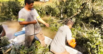 En el Delta de Tigre, el Municipio realizó trabajos de mantenimiento y destronques